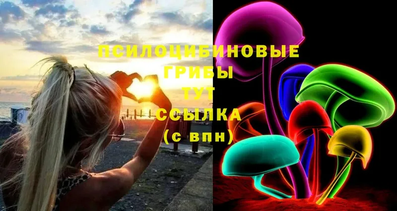 Псилоцибиновые грибы Psilocybe  мега рабочий сайт  Полысаево 